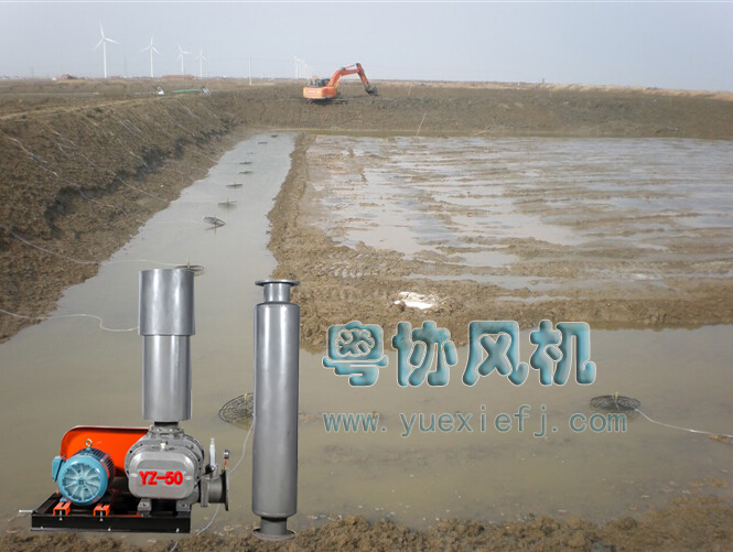 羅茨風(fēng)機(jī) 羅茨風(fēng)機(jī)