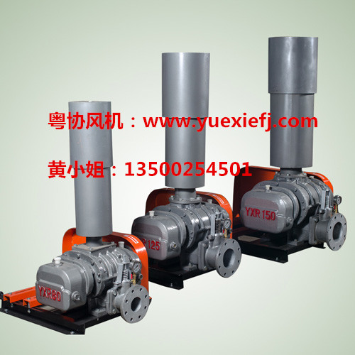 羅茨風(fēng)機(jī) 羅茨風(fēng)機(jī)