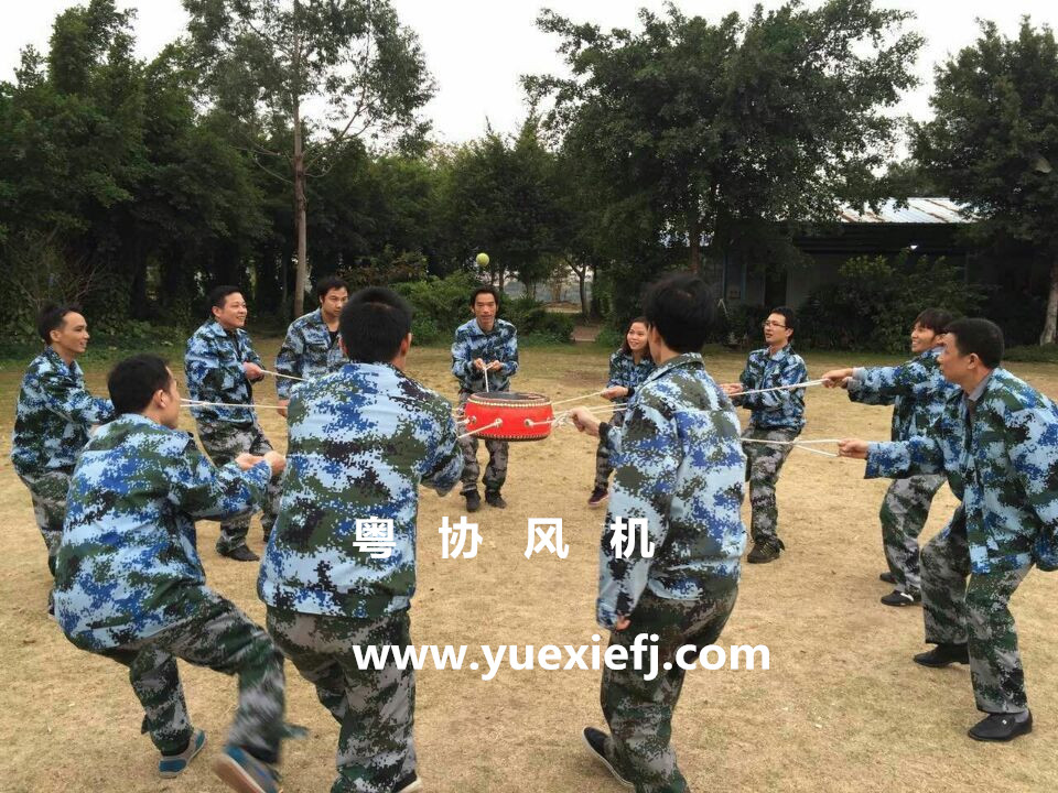 德協(xié)風(fēng)機(jī)廠家 德協(xié)風(fēng)機(jī)廠家