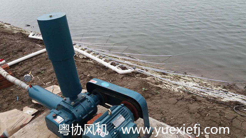 水產(chǎn)增氧羅茨風(fēng)機(jī)