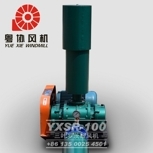 水泥廠用羅茨風(fēng)機(jī) 水泥廠用羅茨風(fēng)機(jī)