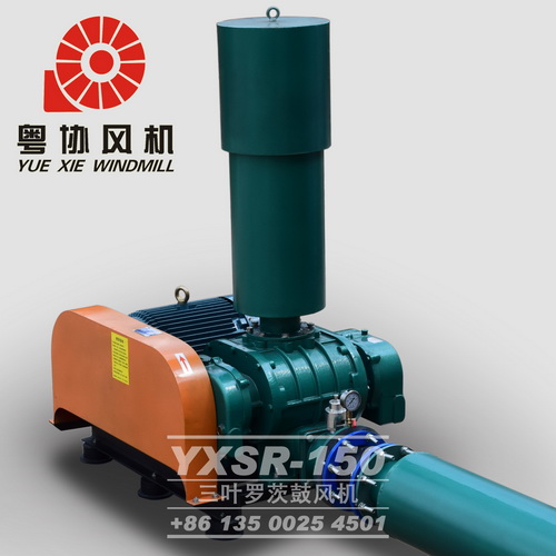 佛山羅茨鼓風(fēng)機