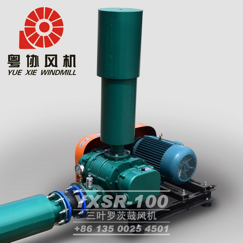 羅茨鼓風(fēng)機(jī)生產(chǎn)廠家