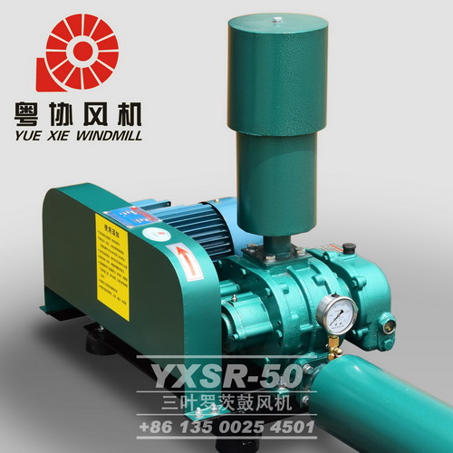 陽(yáng)江羅茨風(fēng)機(jī)