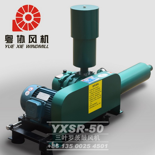 汕尾羅茨鼓風(fēng)機(jī)