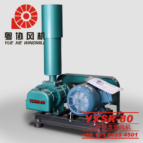 污水處理羅茨鼓風機 污水處理羅茨鼓風機