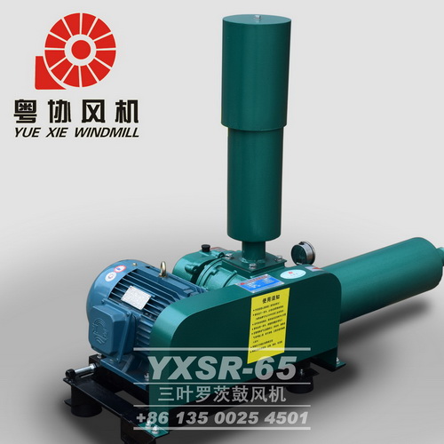 污水池用羅茨風機 污水池用羅茨風機