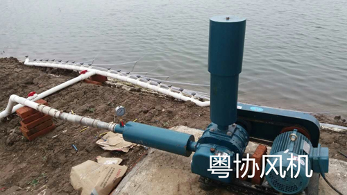 養(yǎng)殖增氧羅茨風機