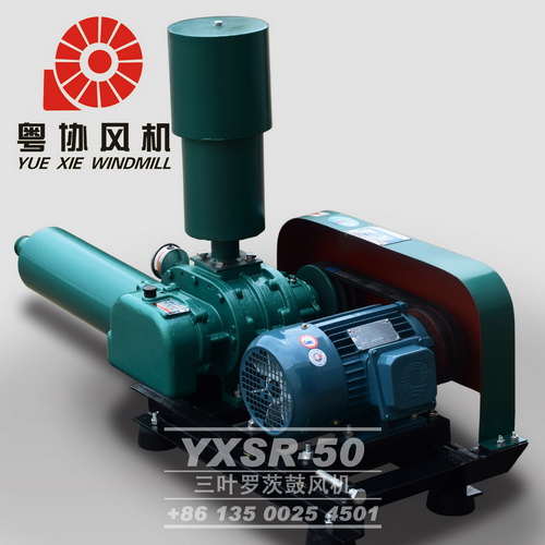 羅茨鼓風(fēng)機生產(chǎn)商