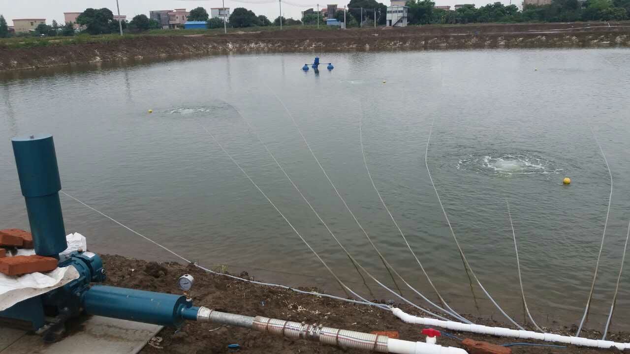 曝氣羅茨風(fēng)機(jī)