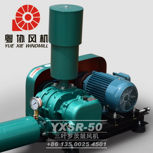 高壓羅茨鼓風(fēng)機(jī) 高壓羅茨鼓風(fēng)機(jī)