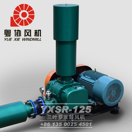 佛山羅茨風(fēng)機(jī)報價 佛山羅茨風(fēng)機(jī)報價