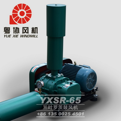 曝氣羅茨鼓風(fēng)機(jī) 曝氣羅茨鼓風(fēng)機(jī)