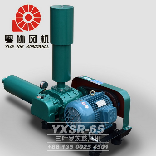 東莞高壓羅茨風機廠家 東莞高壓羅茨風機廠家