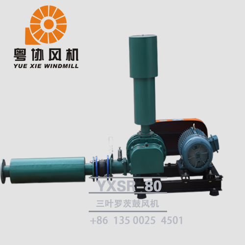 江門三葉羅茨風(fēng)機(jī)廠家