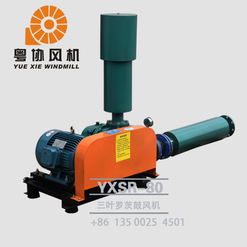 揭陽三葉羅茨鼓風(fēng)機(jī)批發(fā)