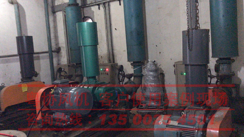 三葉式羅茨風(fēng)機(jī)