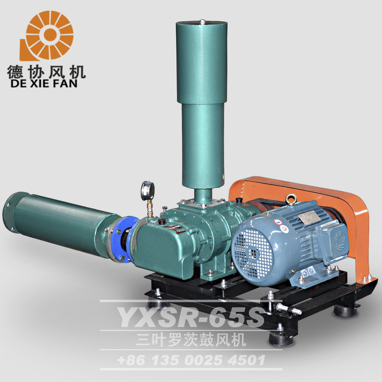 廣州曝氣羅茨風(fēng)機(jī)廠家